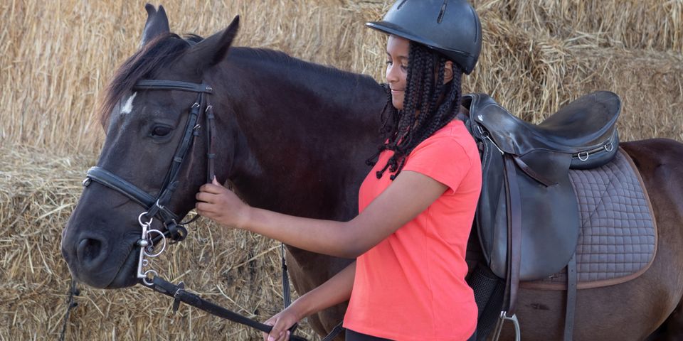 how-do-you-choose-a-saddle-pad-robert-teskey-saddlery-by-western