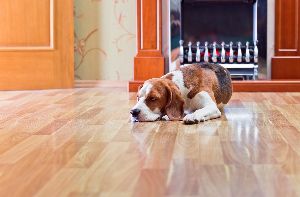 laminate flooring