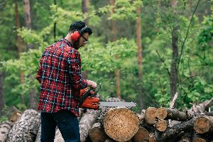 chainsaw-service-palmyra