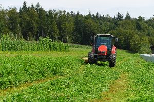 rotary cutter