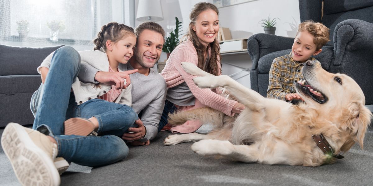 7 Ways To Maintain Your Carpet While Living With A Furry Friend