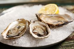 oysters-gulf-shores-al