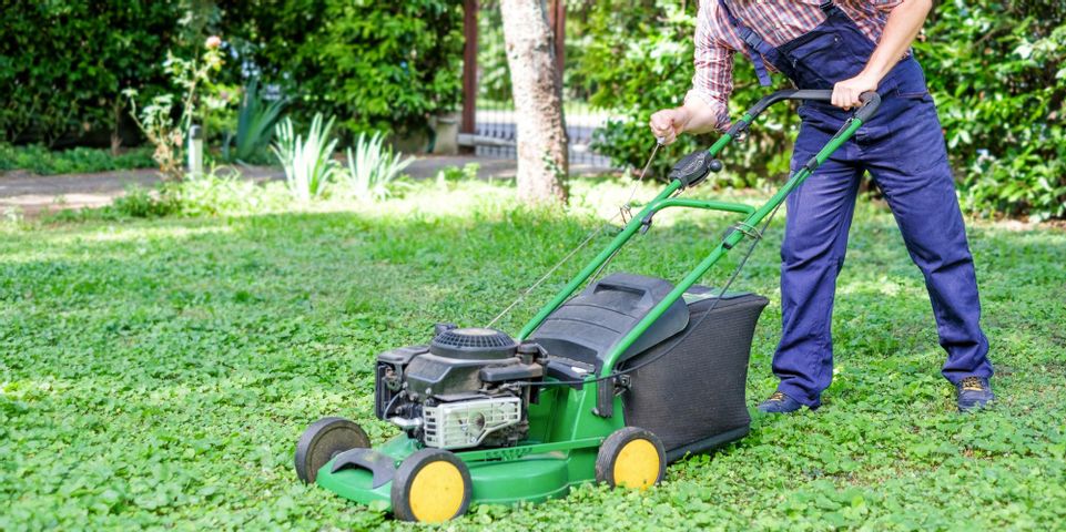 Why You Should Hire Lawn Care Services - Team Green Inc.