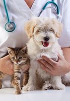Veterinary-Clinic-Perry-GA