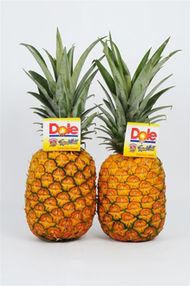 hawaiian pineapple