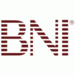 Image result for BNI logo