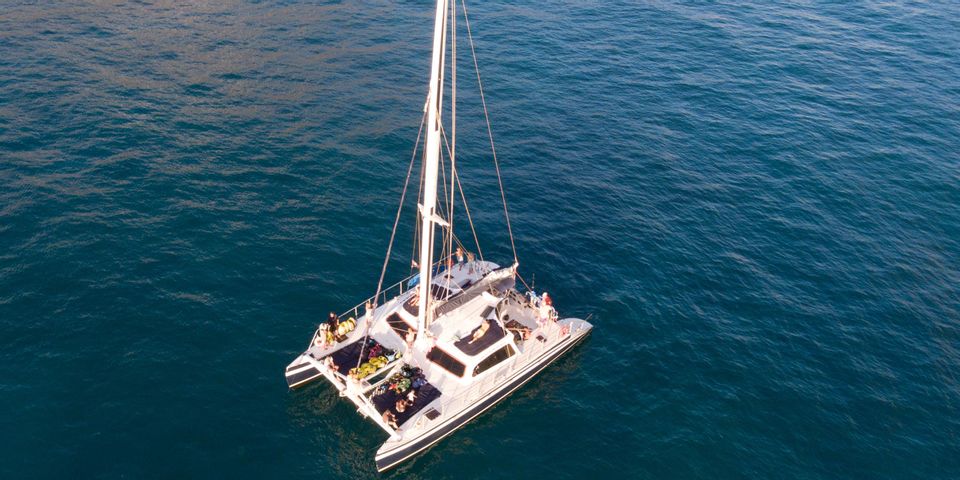 catamaran for hire gold coast