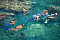 snorkeling Oahu HI