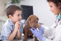 pet-wellness-countryside-veterinary-clinic