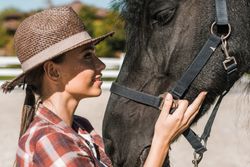 Horse bedding