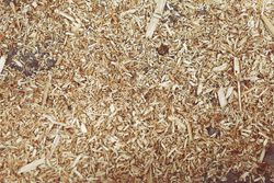 Wood-Shavings-Hallandale-FL