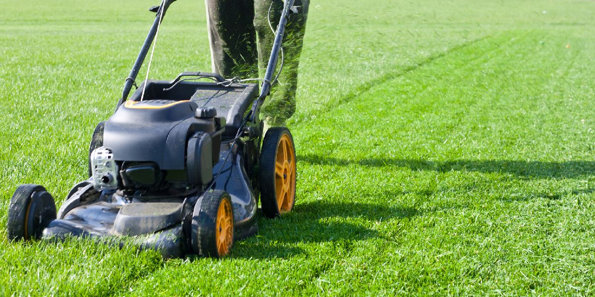 Excellent Lawn Services Offered By The Companies