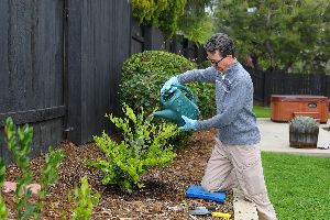 Mulching