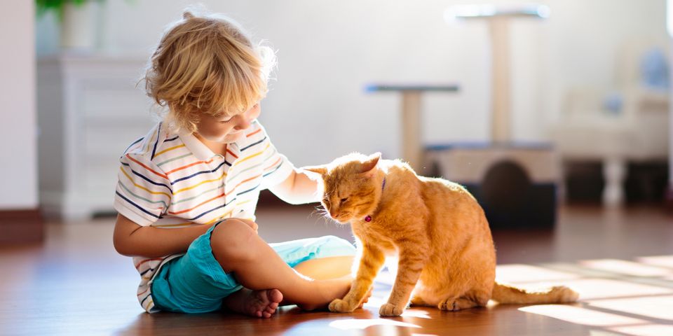 3 Ways Cats May Benefit Children With Autism Spectrum Disorders ...