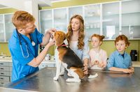 veterinarian-middlefield-veterinary-clinic
