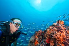 scuba diving tours