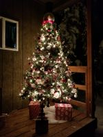 dry cabin Christmas tree