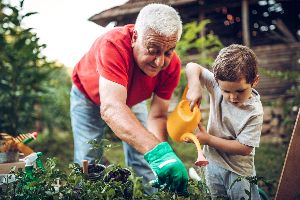 gardening