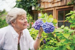 Alzheimer's and dementia care