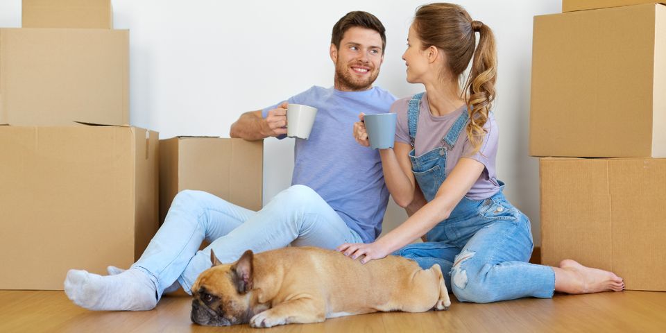 4 Ways to Help Your Pets Adjust to a New Home - Caccamise Moving