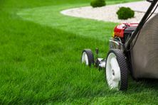 lawn-maintenance-metros-sod-and-seeding