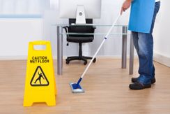 professional cleaning company