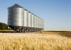 Grain storage in Platteville, WI