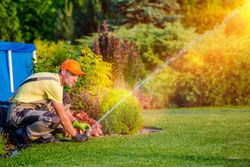 grass seeding