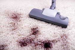 rug cleaners