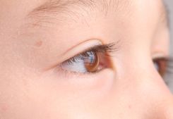 ocular-diseases
