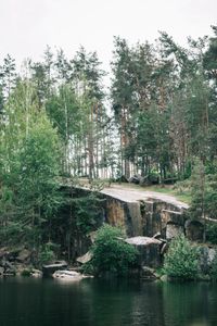 Camden, AR land management