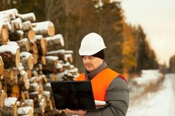 Forest management services Camden, AR