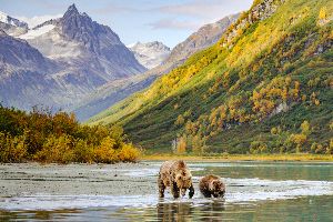 Alaskan seafood