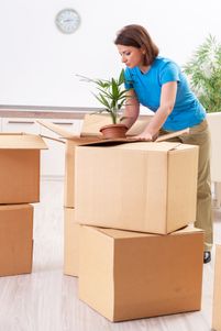 Carlsbad, NM movers