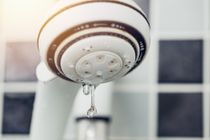 Plumber needed for low water pressure in bathroom showerhead