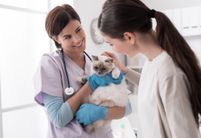 pet-medical-care-caroline-veterinary-hospital