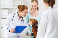 veterinarian-woodworth-animal-hospital