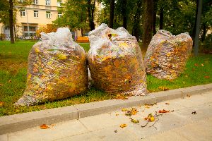 leaf removal