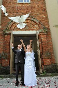 dove release