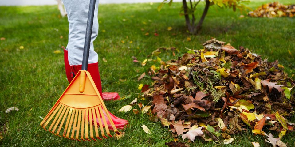 4 Lawn Maintenance Tips For Fall Cleanup Sharp Lawn Inc