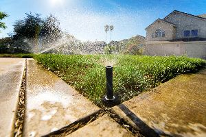 irrigation