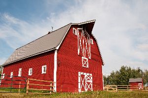 farm insurance