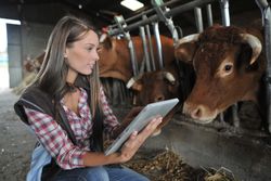 farm and ranch insurance