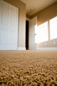 carpet waynesboro va