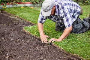 septic system