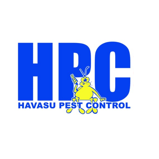 Meet the Amazing Women of Havasu Pest Control - Havasu ...