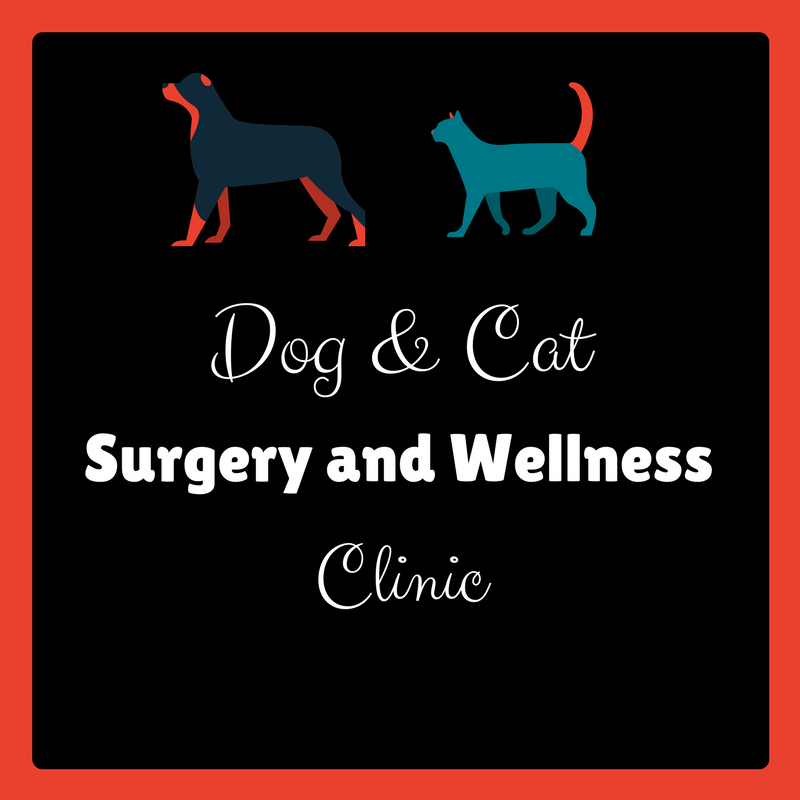 Dog and cat surgery and sales wellness clinic