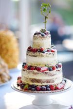 wedding-cake 