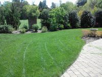 lawn care maintenance contract