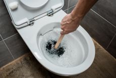 drain cleaning https://st3.depositphotos.com/20363444/32489/i/450/depositphotos_324890070-stock-photo-cropped-view-plumber-using-plunger.jpg